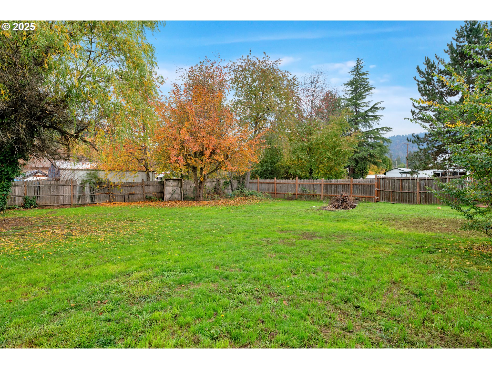 422 Elder Street Drain, OR 97435 - Photo 33 of 41 a view of yard with green space