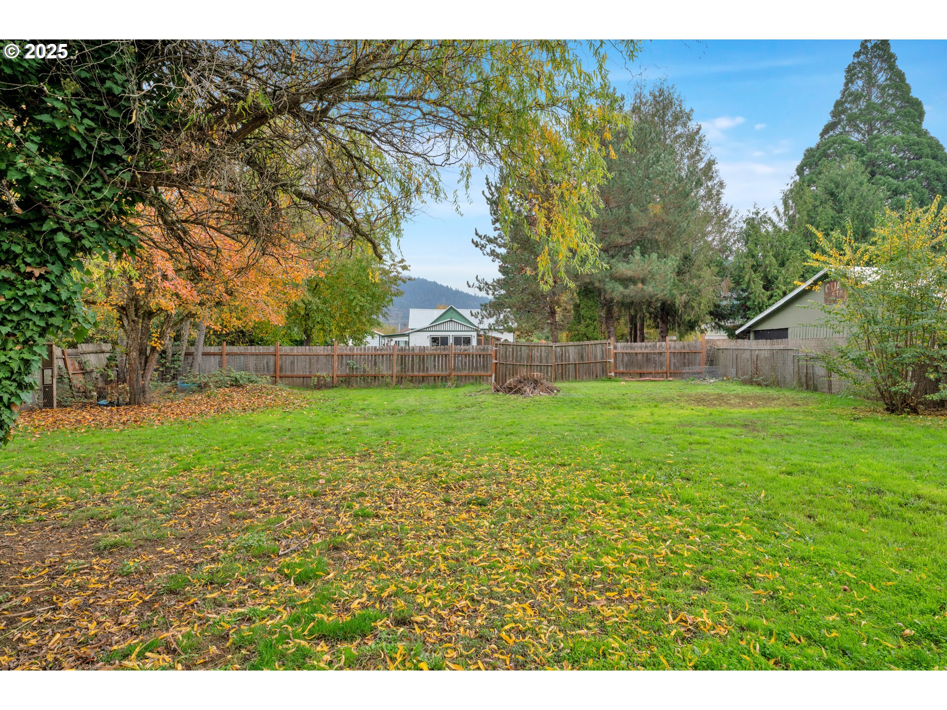 422 Elder Street Drain, OR 97435 - Photo 35 of 41 a view of yard with green space and trees in the background