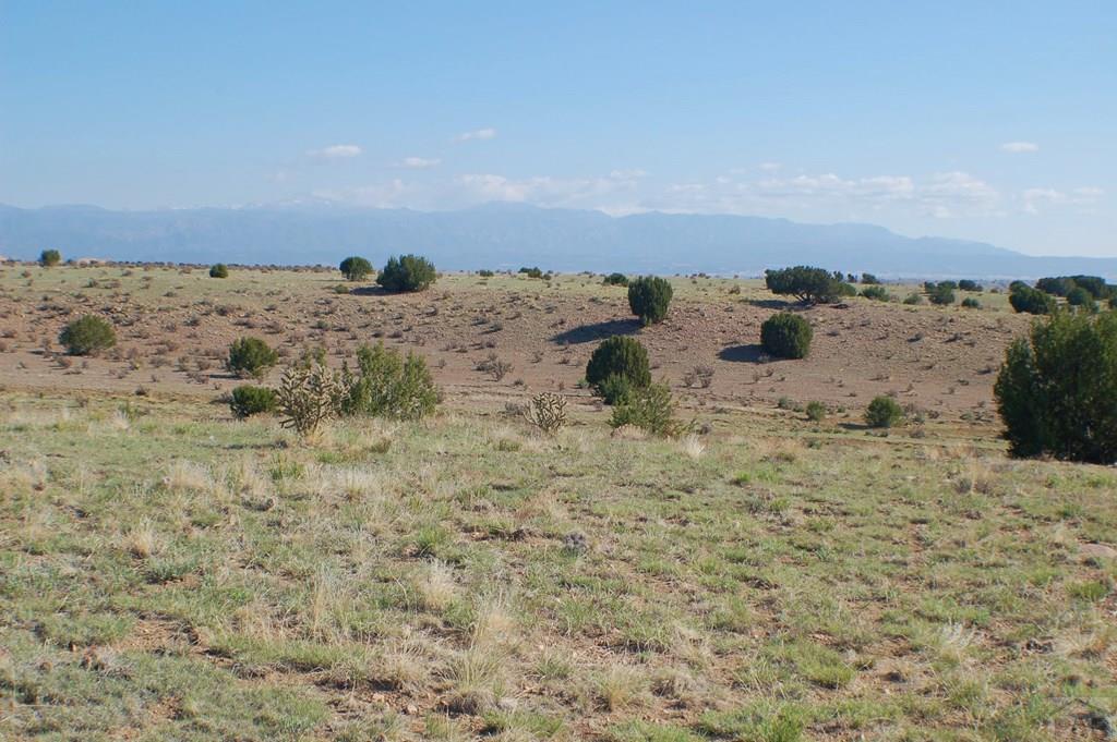 Tbd Tbd Ranch Road Florence, CO 81226 - Photo 6 of 25