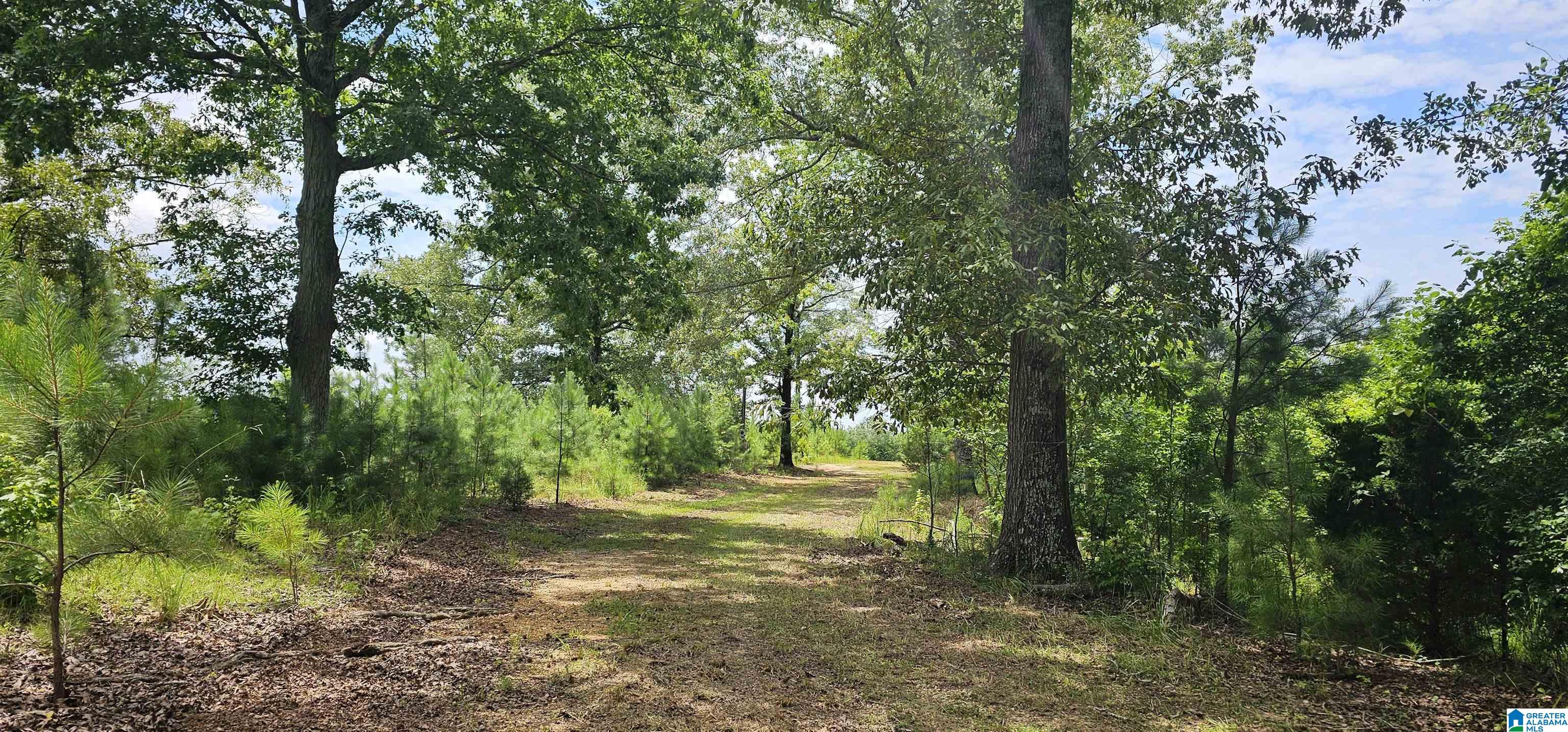 1154 Griffin Road, Unit 1 Chelsea, AL 35043 - Photo 10 of 13
