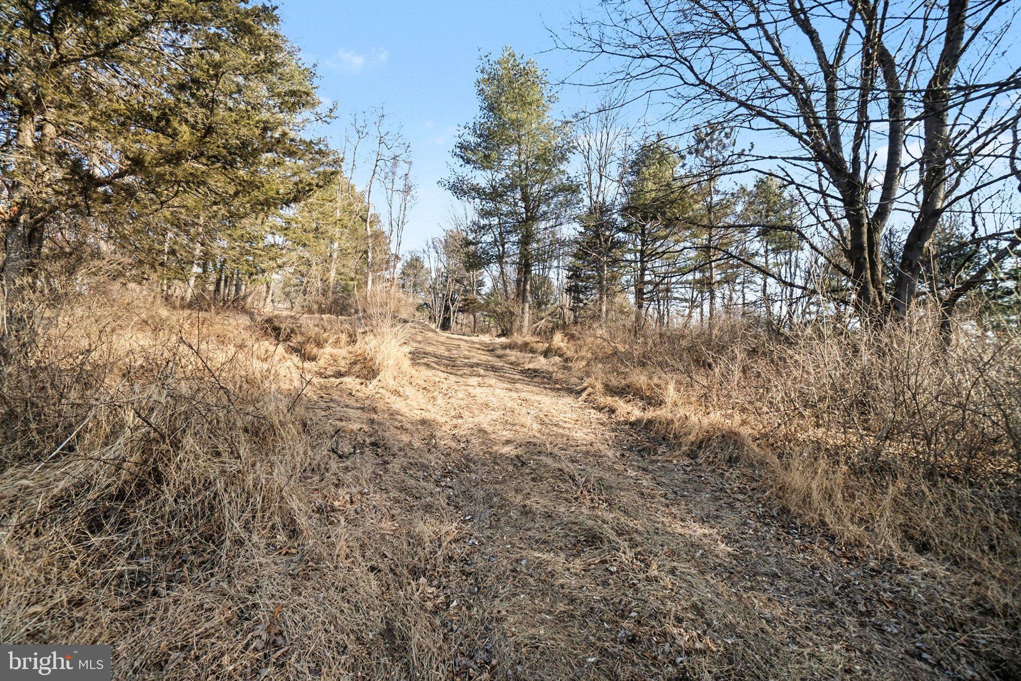 0 Paradise Road Duncannon, PA 17020 - Photo 3 of 19