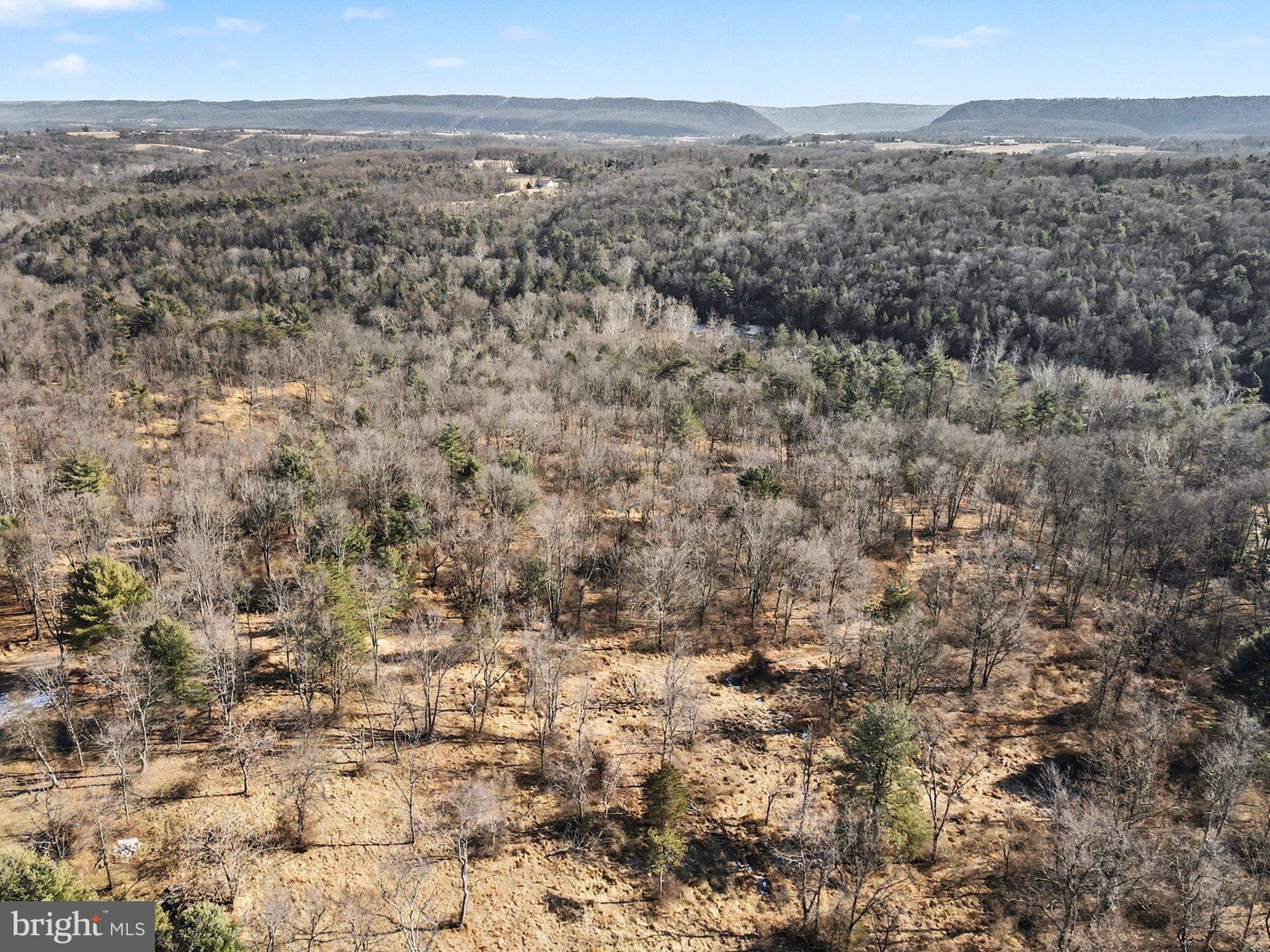 0 Paradise Road Duncannon, PA 17020 - Photo 4 of 19