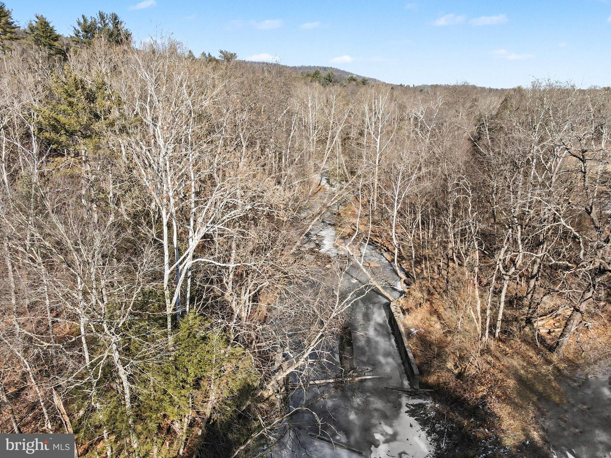 0 Paradise Road Duncannon, PA 17020 - Photo 6 of 19