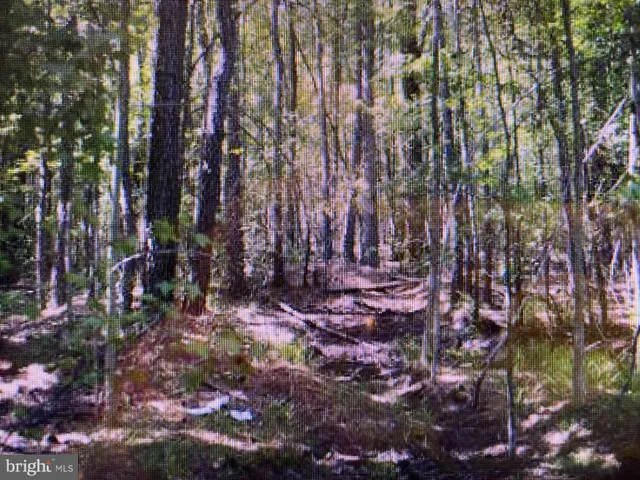 $4,000 | 6 Block J Channel Drive, Mechanicsville, MD 20659