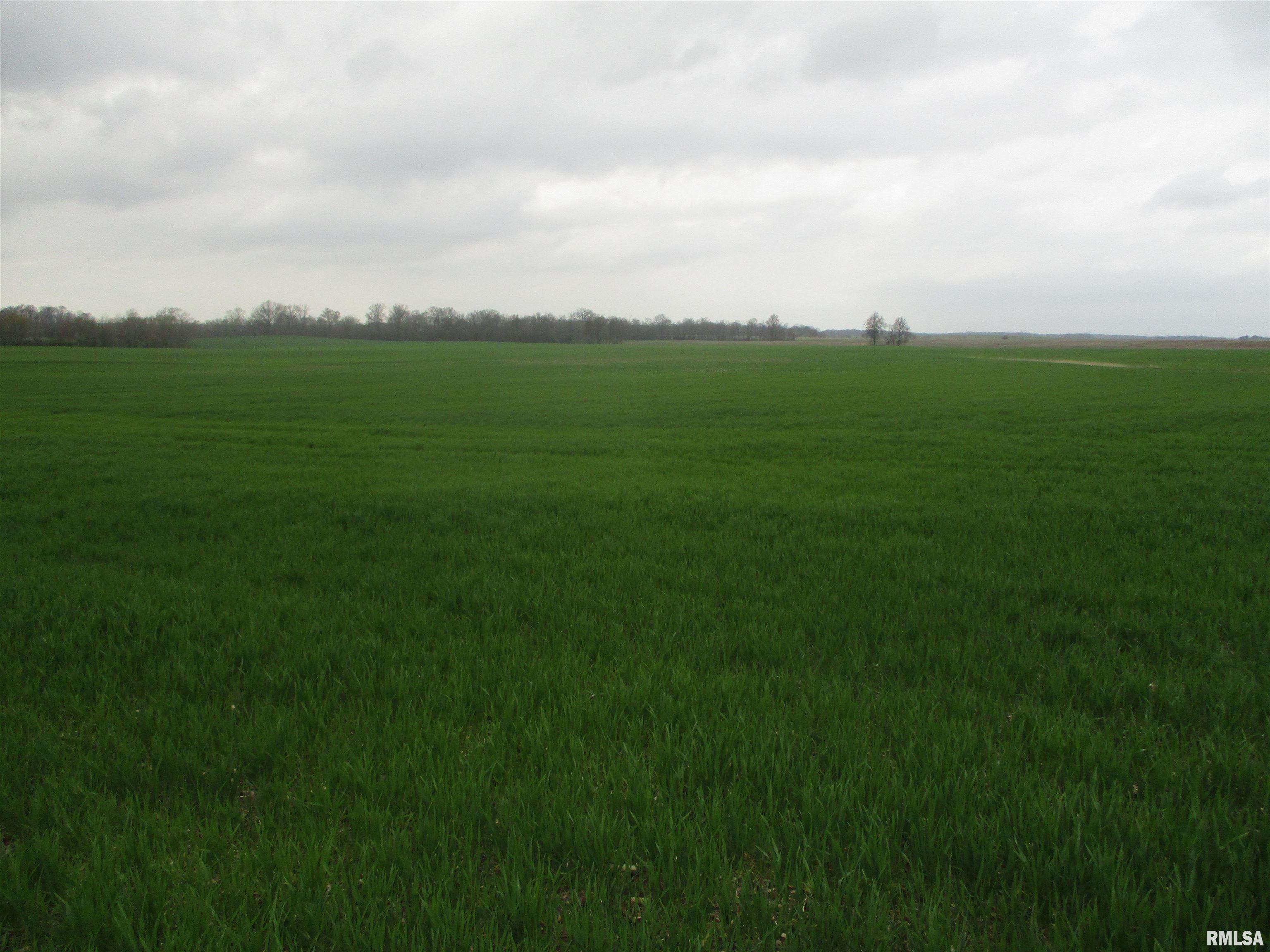 0 Ewing Road Ewing, IL 62836 - Photo 3 of 7