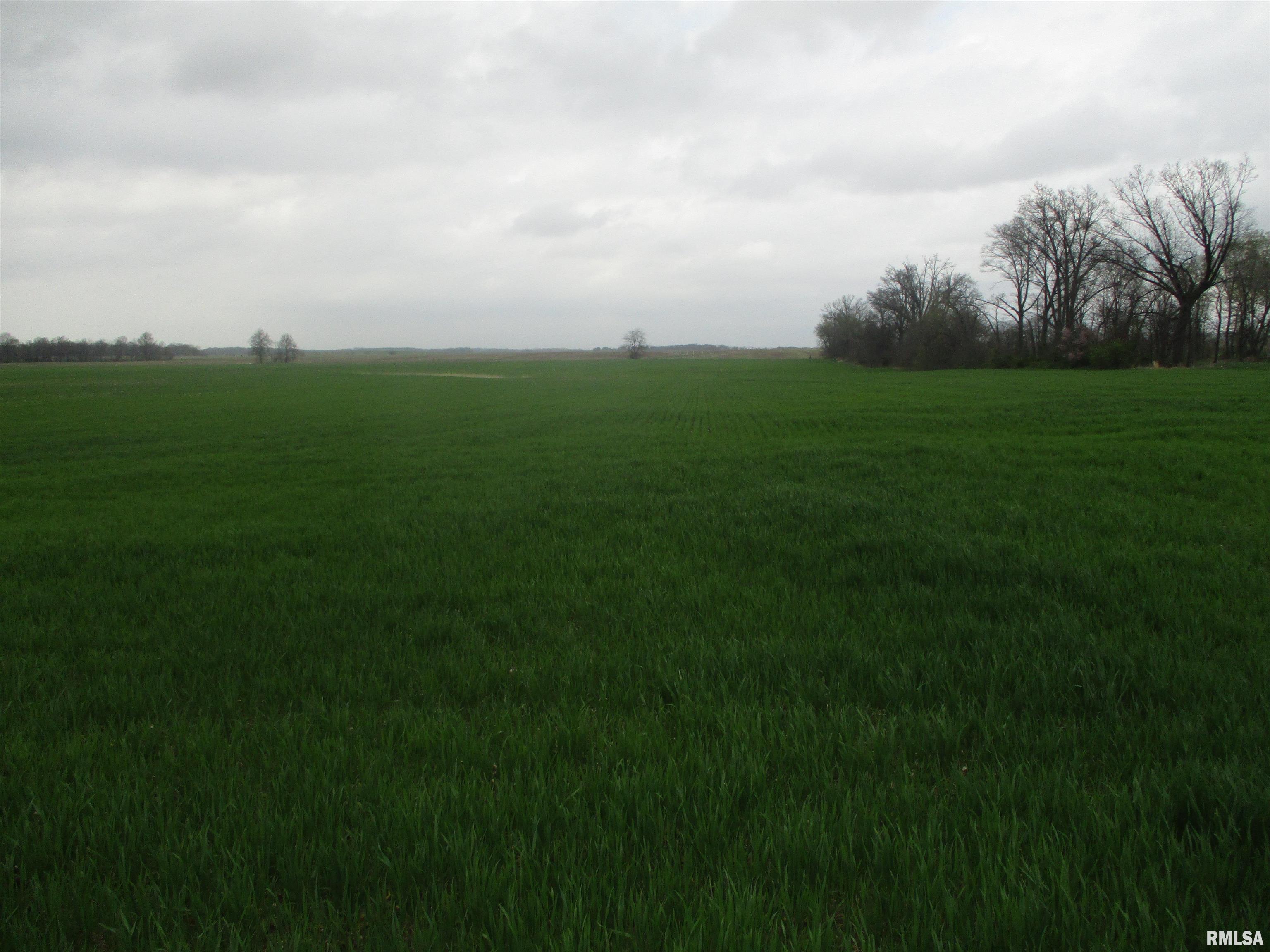 0 Ewing Road Ewing, IL 62836 - Photo 4 of 7