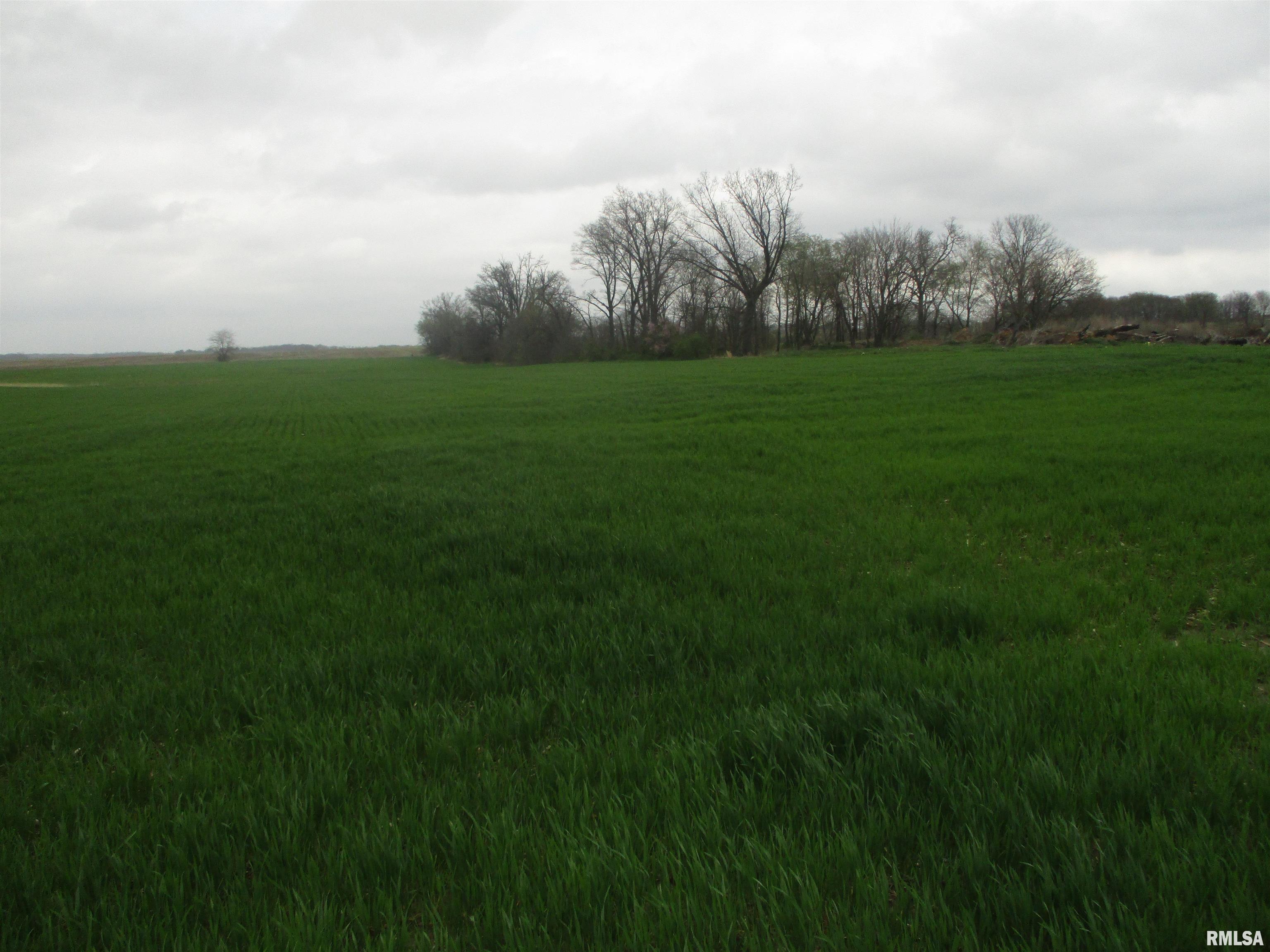 0 Ewing Road Ewing, IL 62836 - Photo 5 of 7
