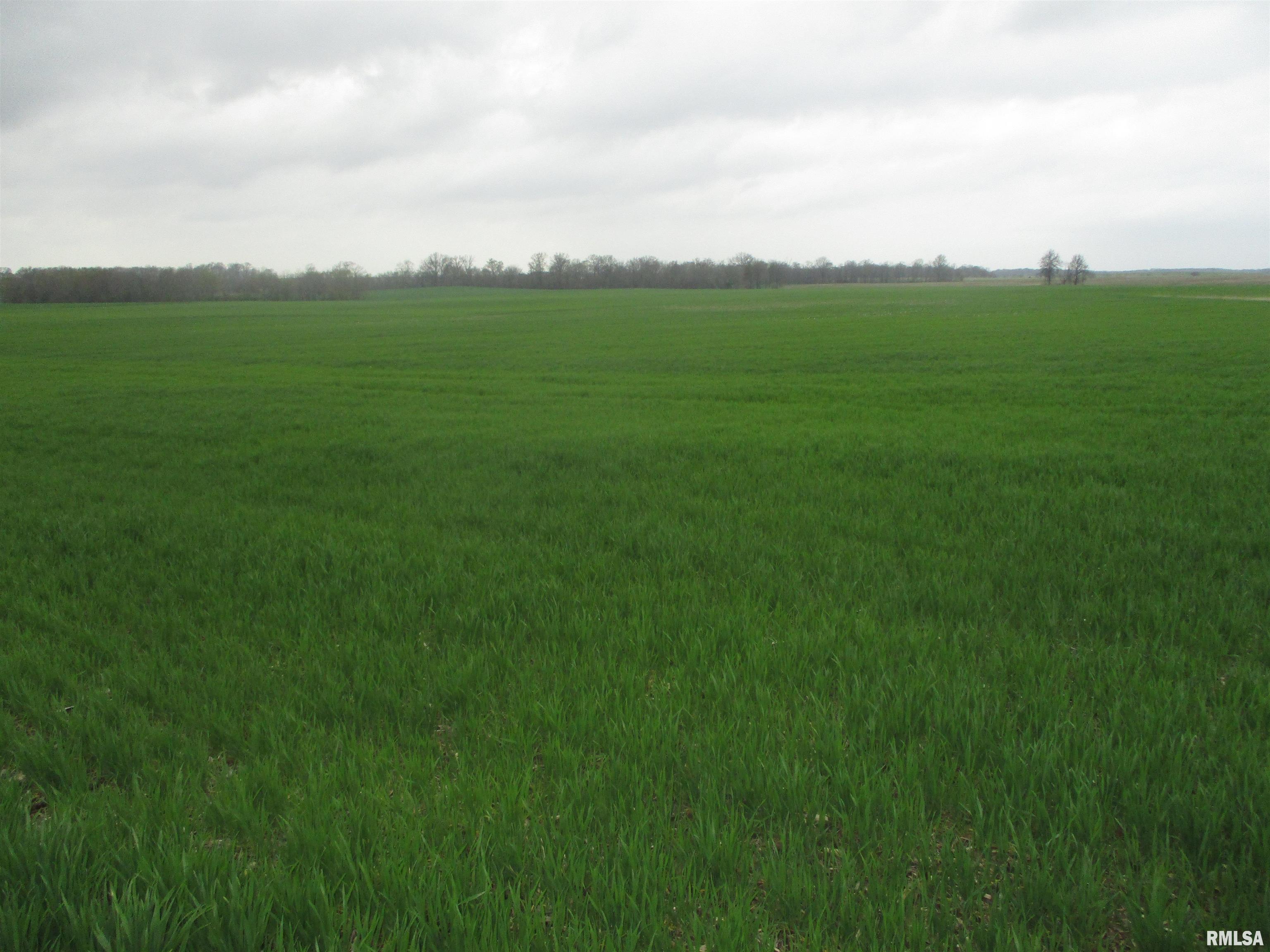 0 Ewing Road Ewing, IL 62836 - Photo 6 of 7