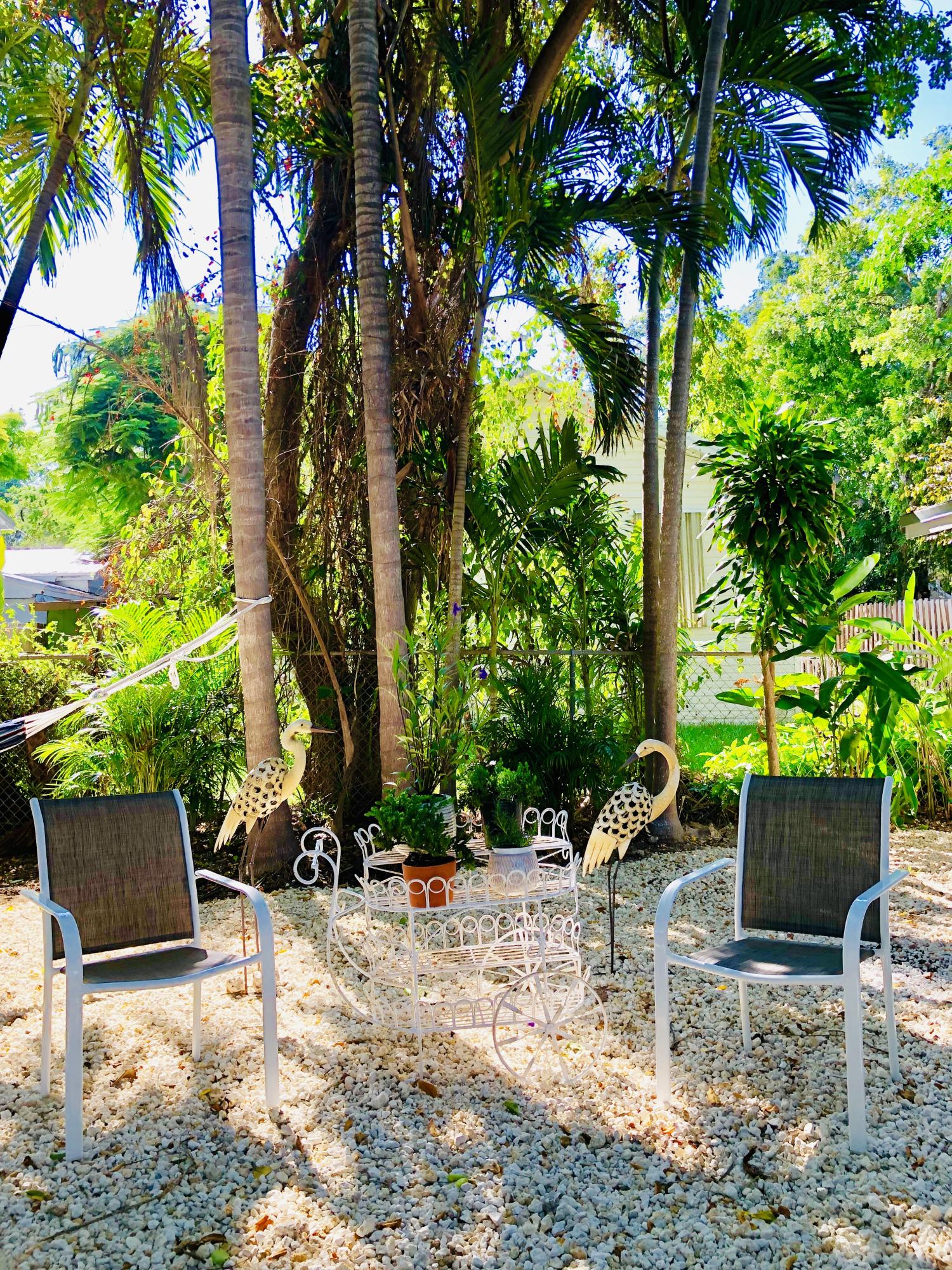 813 La Paloma Road Key Largo, FL 33037 - Photo 8 of 35 Quiet Backyard