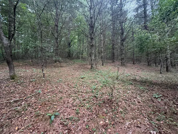 $145,000 | 2678 Moncove Lake Road, Gap Mills, WV 24941