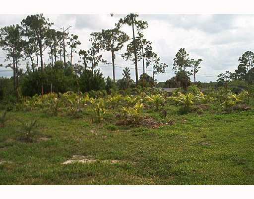 12914 N Road Loxahatchee, FL 33470 - Photo 3 of 6 Additional Photo