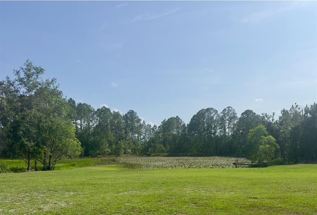 44645 Misty Isle Drive DeLand, FL 32720 - Photo 11 of 28