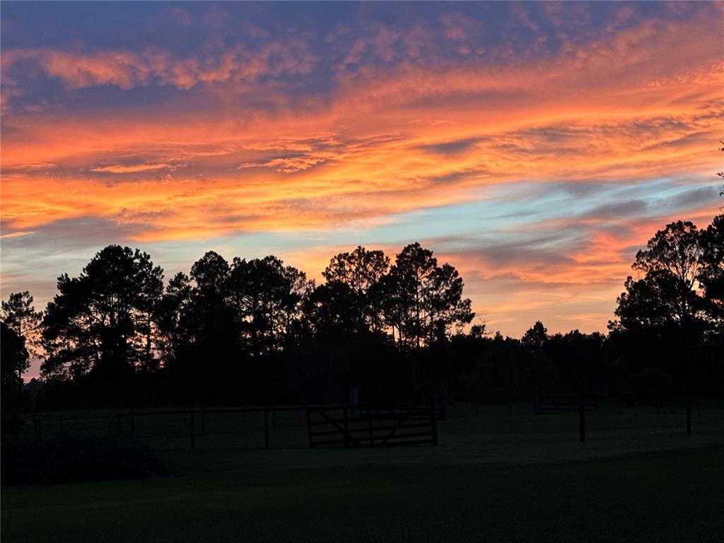 44645 Misty Isle Drive DeLand, FL 32720 - Photo 16 of 28