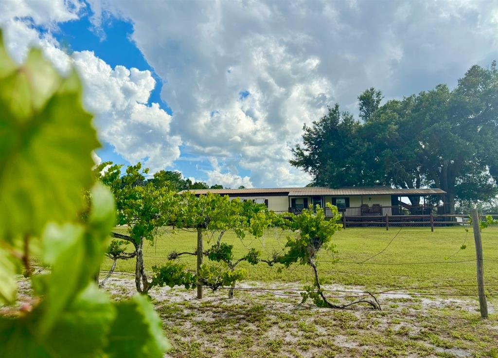 44645 Misty Isle Drive DeLand, FL 32720 - Photo 7 of 28