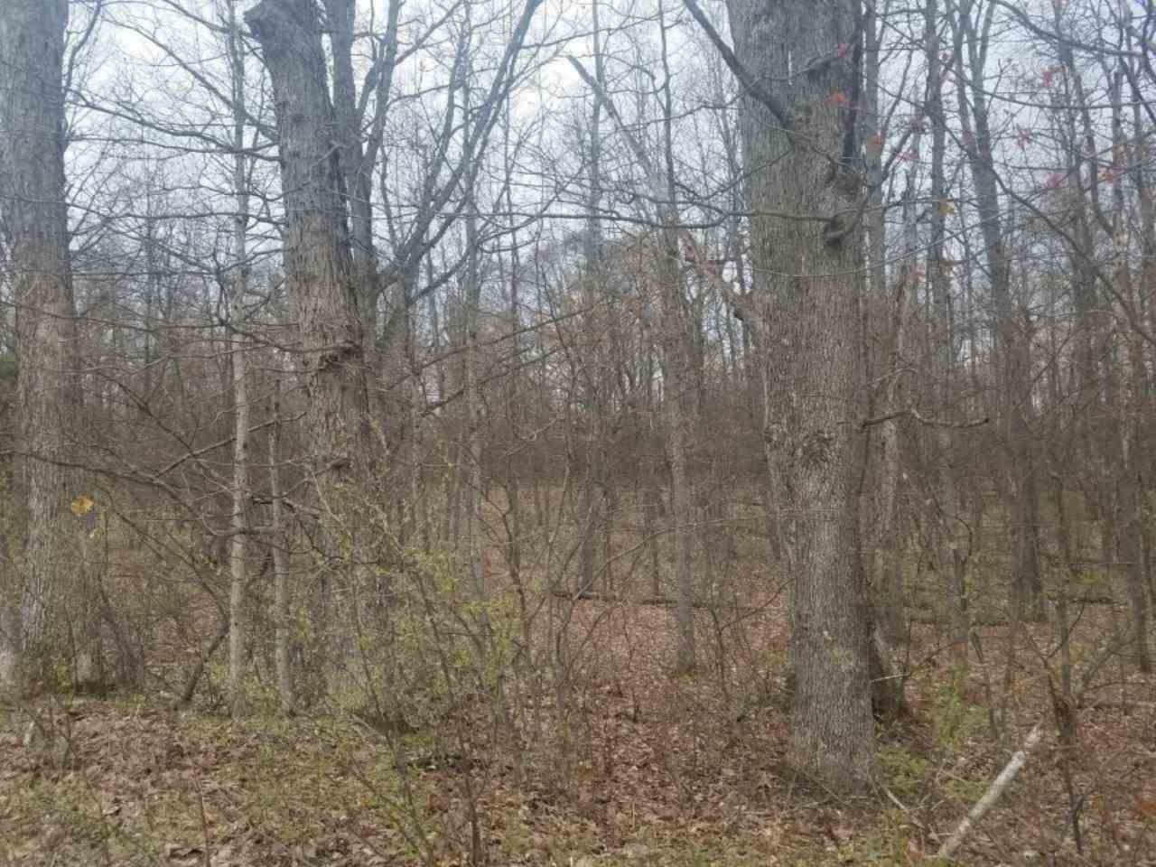 Vl East Yale Road, Unit PAR E Hesperia, MI 49421 - Photo 2 of 21 Gallery Image 2