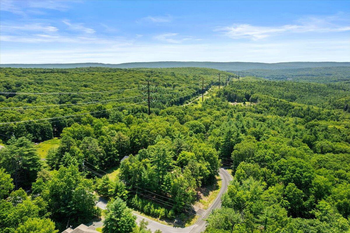 117 Manchester Drive Bushkill, PA 18324 - Photo 6 of 33 an aerial view of residential houses with outdoor space and trees