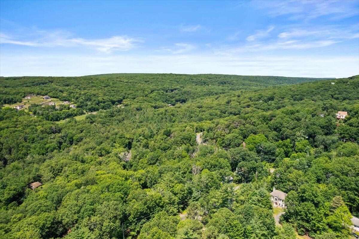 117 Manchester Drive Bushkill, PA 18324 - Photo 7 of 33 view of a field of grass and trees