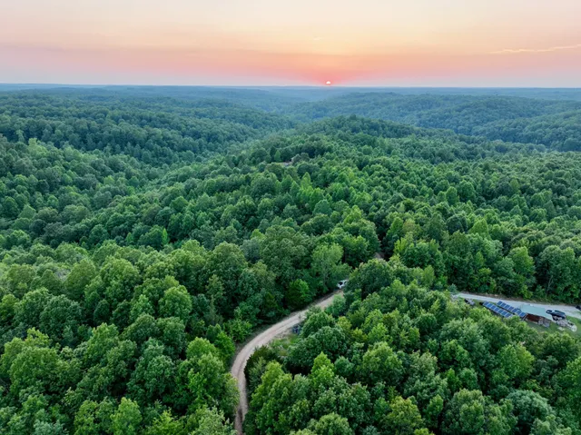 a view of a lush green space
