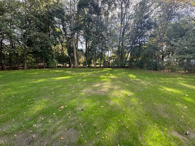 a view of a park with large trees