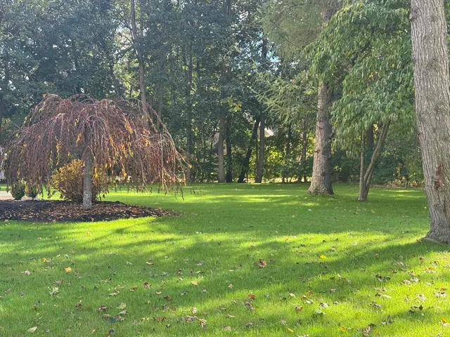 a view of yard with green space