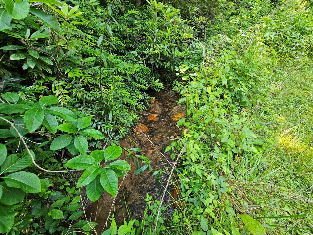 31-acres Upper Bear Paw Road Murphy, NC 28906 - Photo 2 of 26