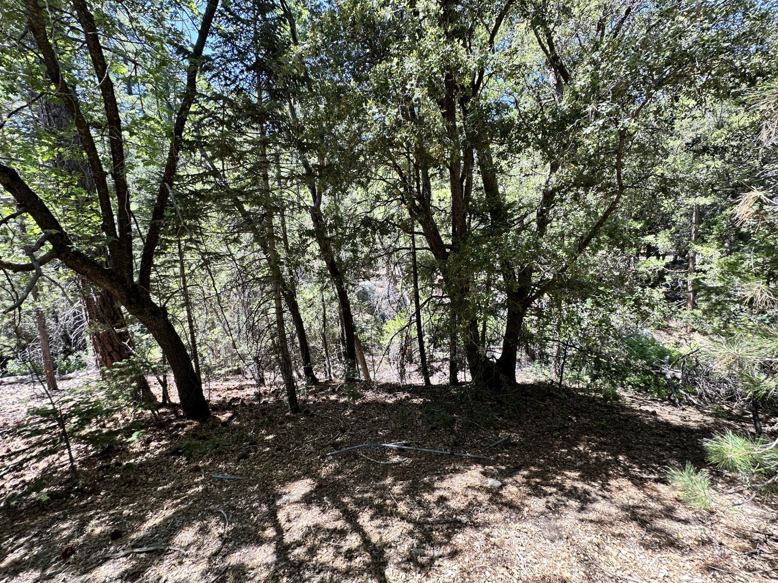 4s02 Idyllwild, CA 92549 - Photo 4 of 8 a view of outdoor space