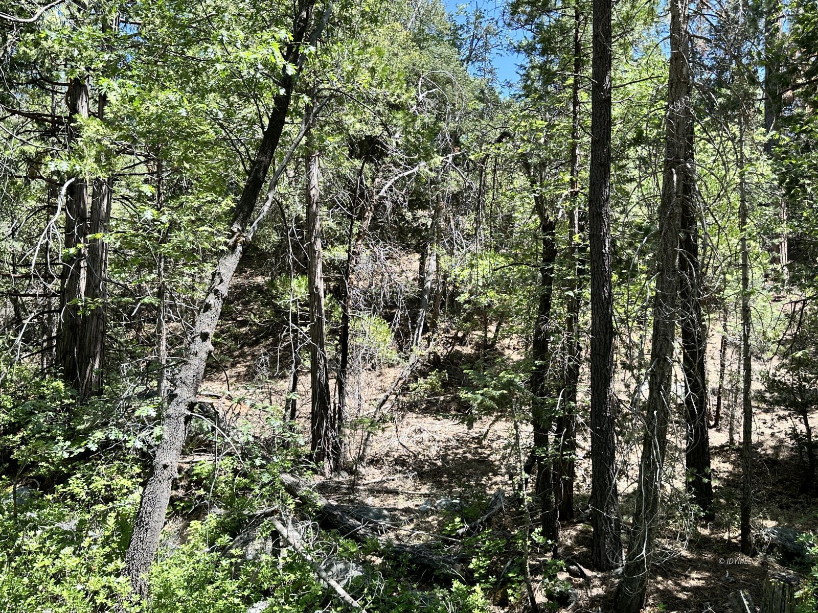 4s02 Idyllwild, CA 92549 - Photo 7 of 8