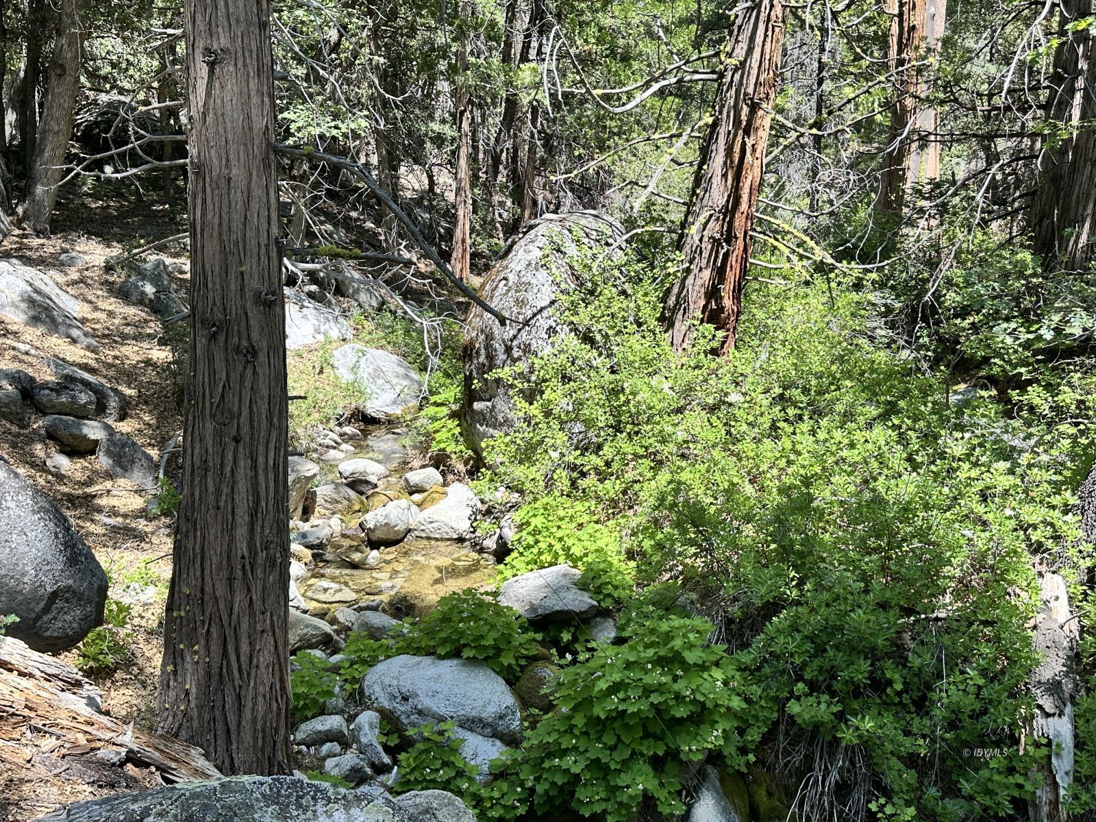4s02 Idyllwild, CA 92549 - Photo 8 of 8 a view of a garden with plants