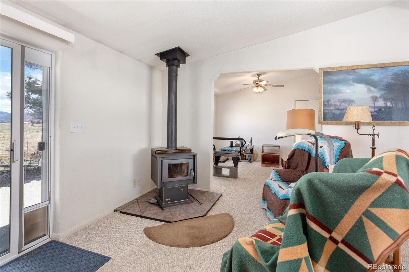 13786 Schoger Road Nathrop, CO 81236 - Photo 9 of 29