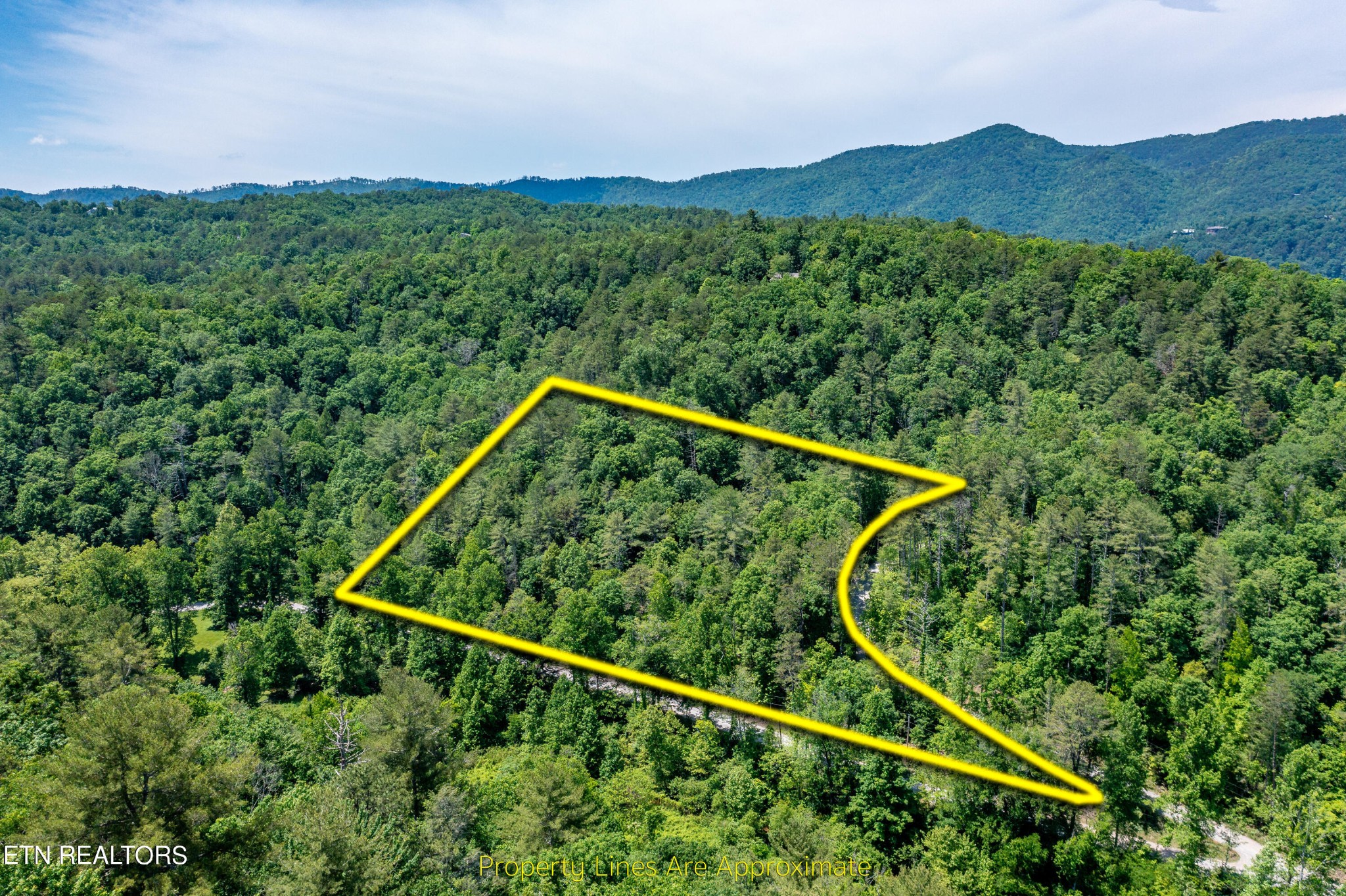 0 Chilhowee Loop Walland, TN 37886 - Photo 3 of 19 Gallery Image 3