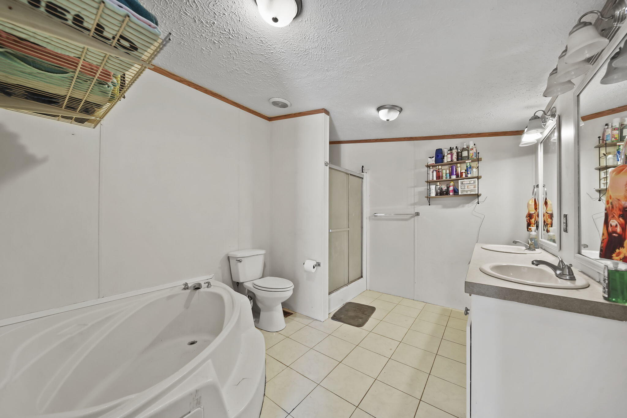 243 Kirk Adrian, MI 49221 - Photo 13 of 26 15-web-or-mls-DSC09802