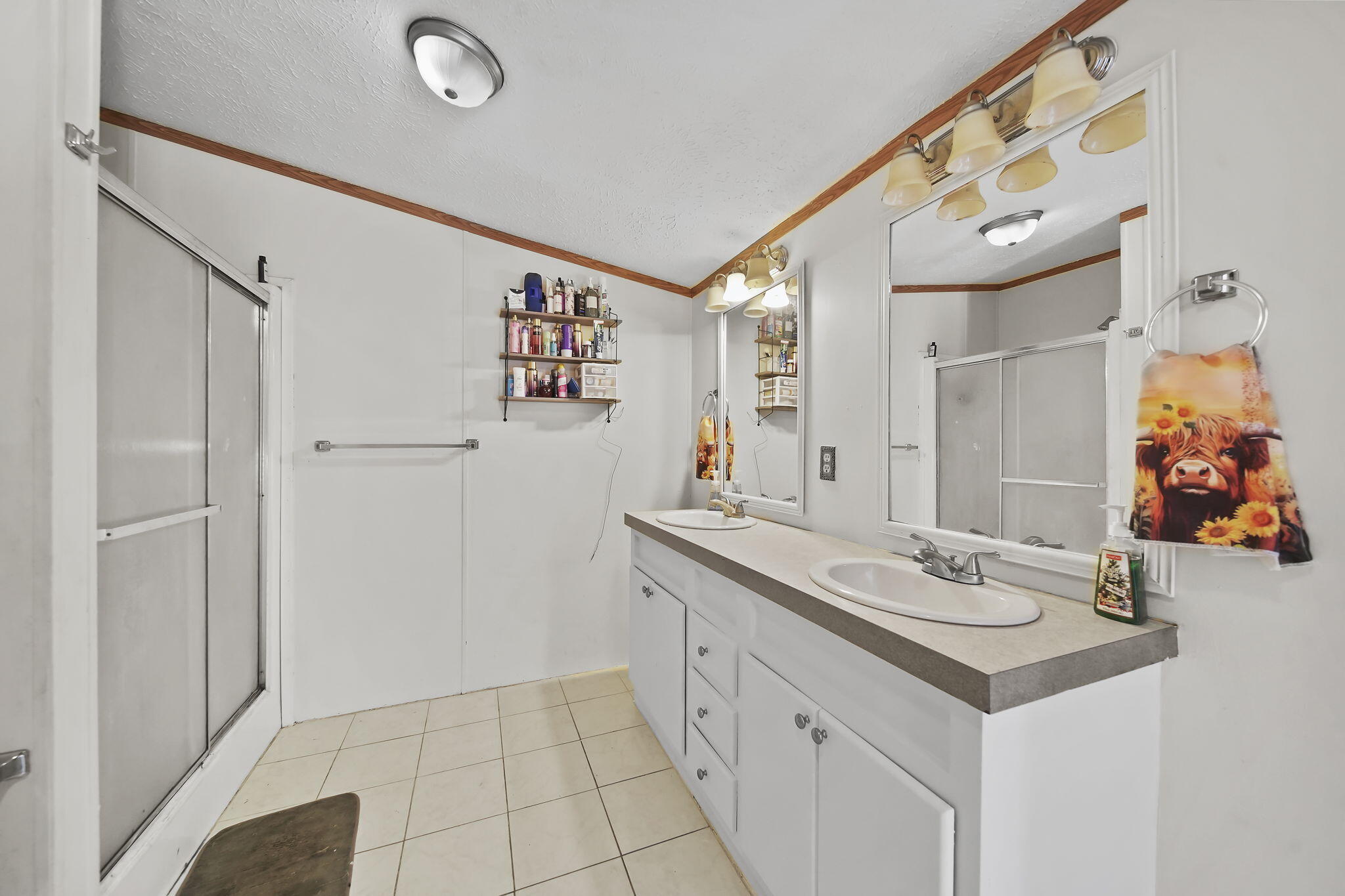 243 Kirk Adrian, MI 49221 - Photo 14 of 26 16-web-or-mls-DSC09807