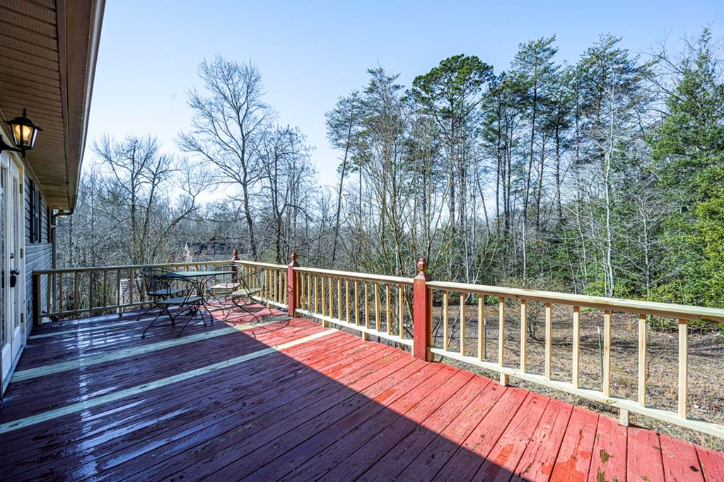 220 Yellowbird Trail Blue Ridge, GA 30513 - Photo 55 of 57 Gallery Image 55