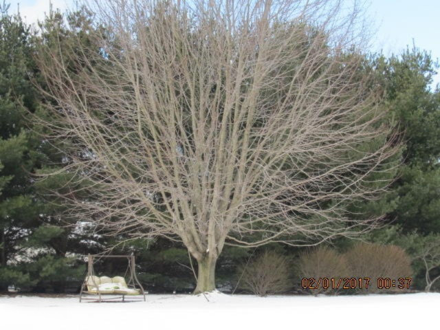 4411 Hagar Shore Road Coloma, MI 49038 - Photo 3 of 39 IMG_6201