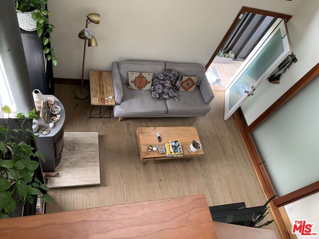 a view of backyard with a potted plant