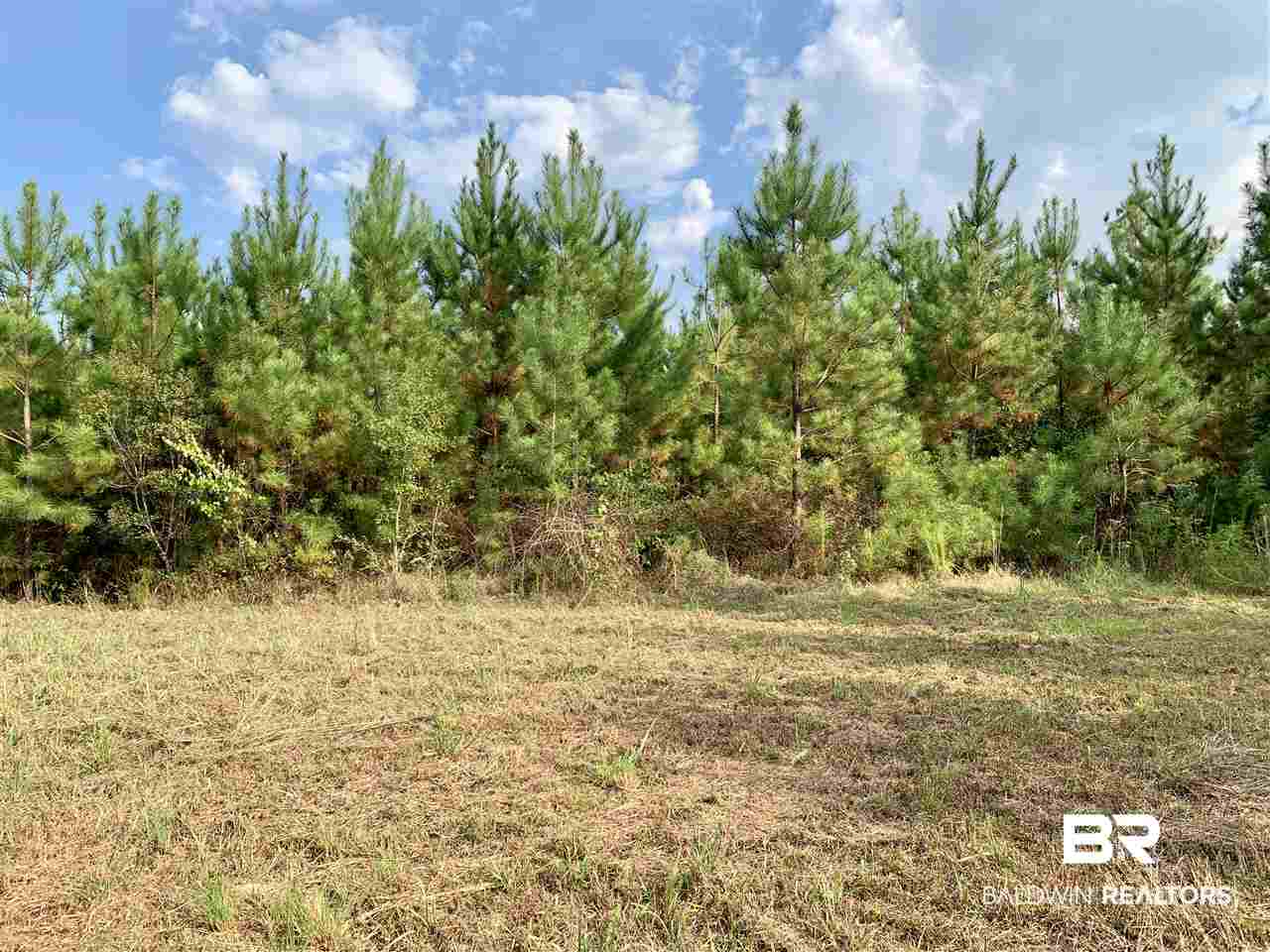 0 Holly Creek Road Stockton, AL 36579 - Photo 25 of 50
