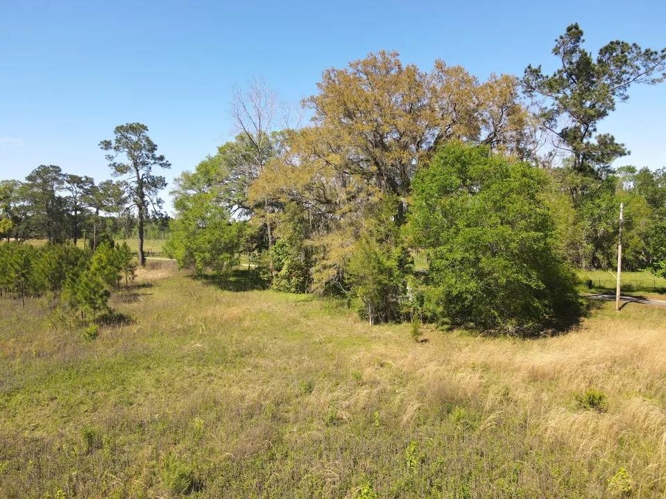 Xxx Kelly Farm Road Havana, FL 32333 - Photo 3 of 6 Gallery Image 3