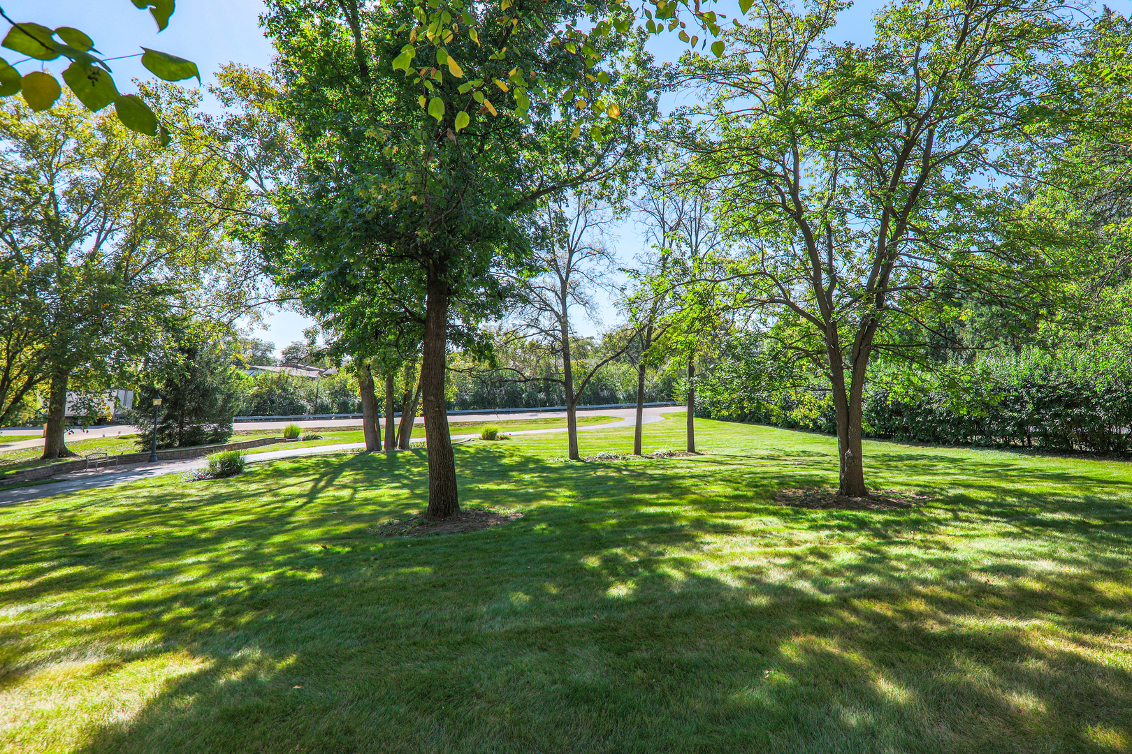 210 79th Street Willowbrook, IL 60527 - Photo 4 of 82