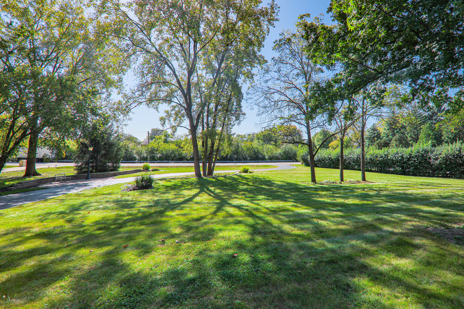 210 79th Street Willowbrook, IL 60527 - Photo 6 of 82