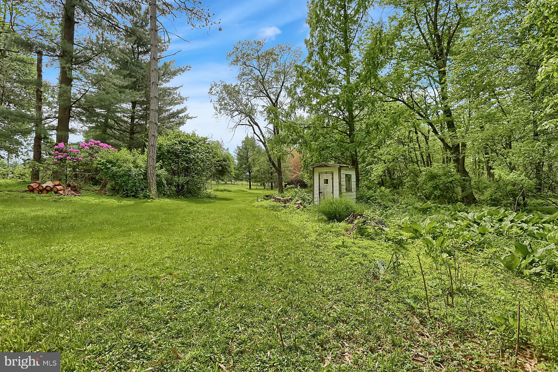 731 Vinemont Road Reinholds, PA 17569 - Photo 11 of 60 Back yard-near creek with shed