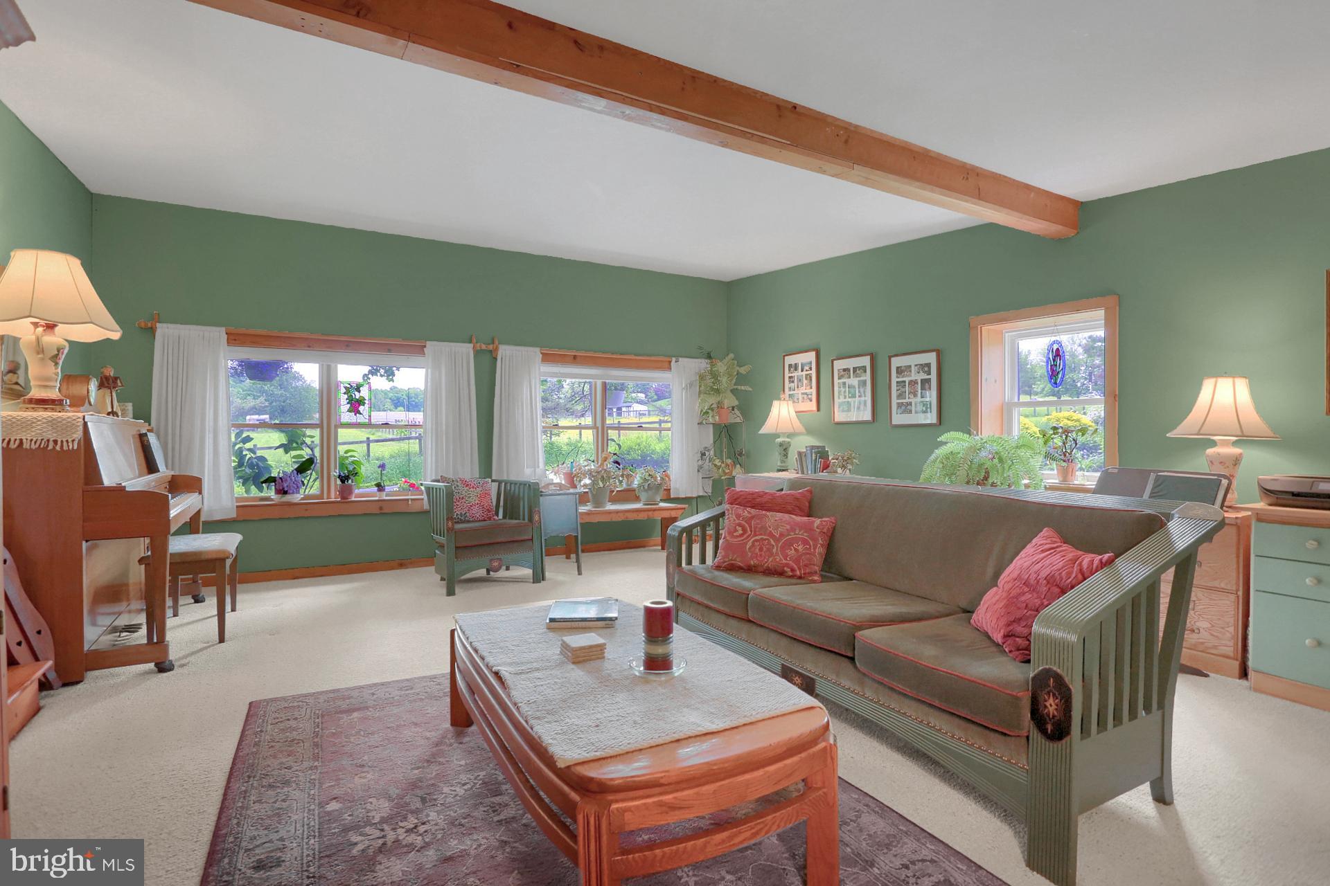 731 Vinemont Road Reinholds, PA 17569 - Photo 23 of 60 Living room
