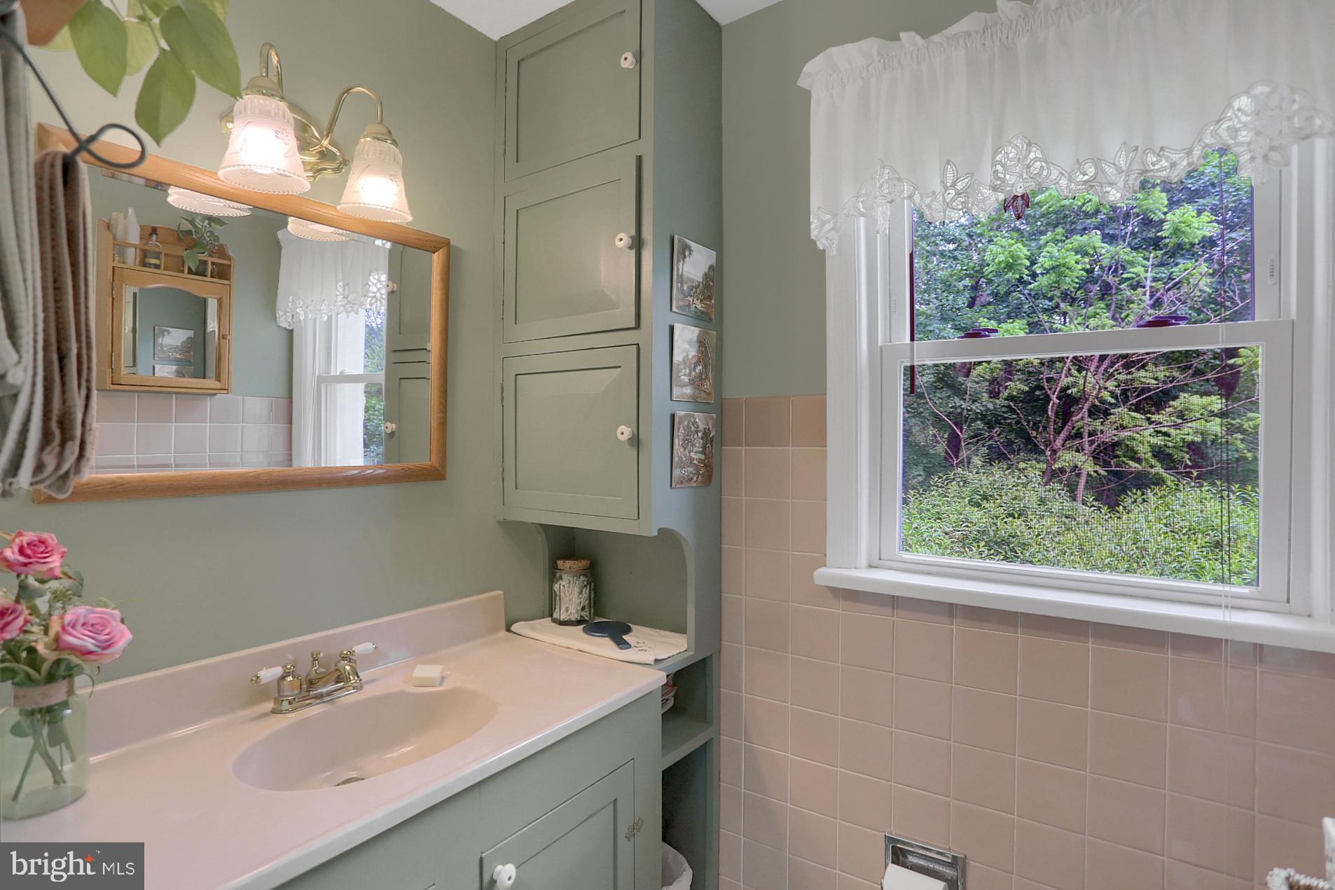 731 Vinemont Road Reinholds, PA 17569 - Photo 24 of 60 Full bathroom with built ins``````
