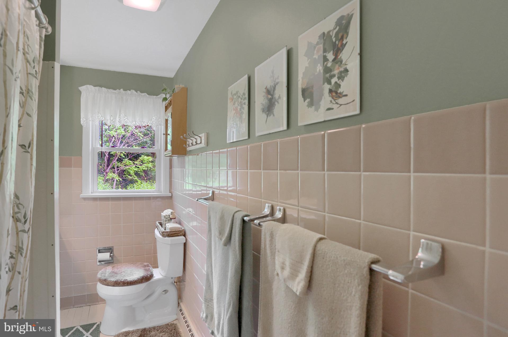 731 Vinemont Road Reinholds, PA 17569 - Photo 25 of 60 Full bathroom-Main level