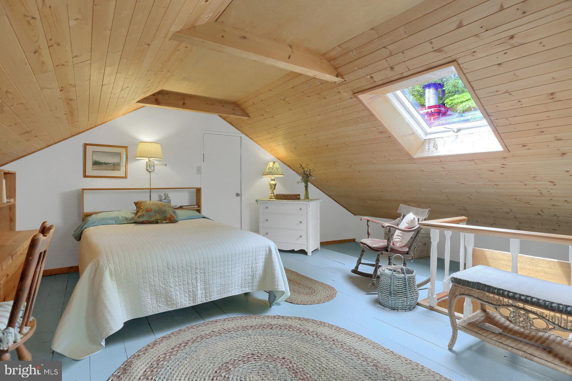 731 Vinemont Road Reinholds, PA 17569 - Photo 28 of 60 3rd bedroom/attic w/ skylight