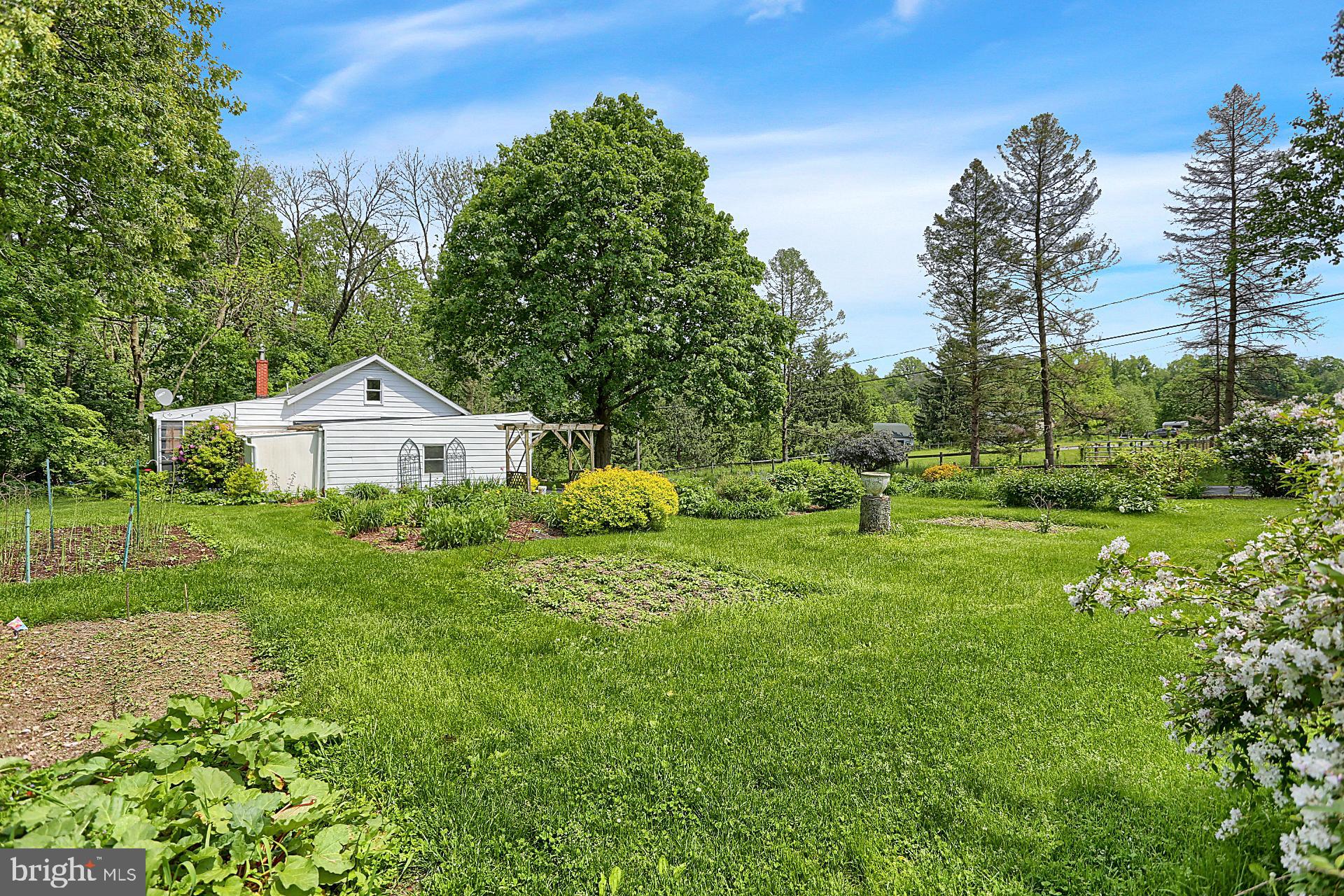 Side yard/side of house with side garden area