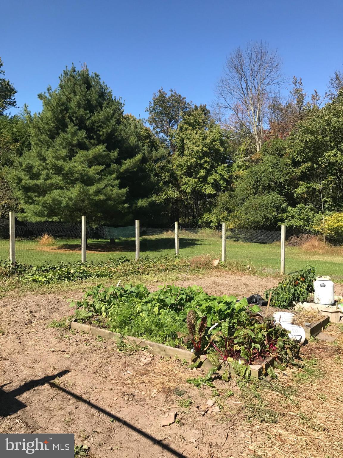 731 Vinemont Road Reinholds, PA 17569 - Photo 39 of 60 Garden