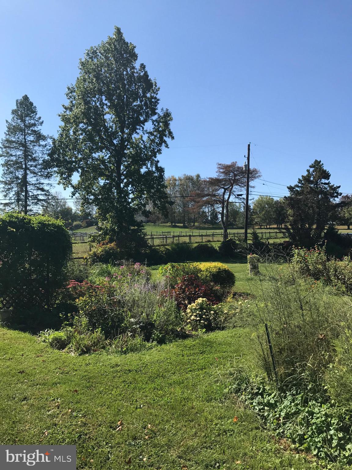 731 Vinemont Road Reinholds, PA 17569 - Photo 43 of 60 Private oasis back yard with creek and garden