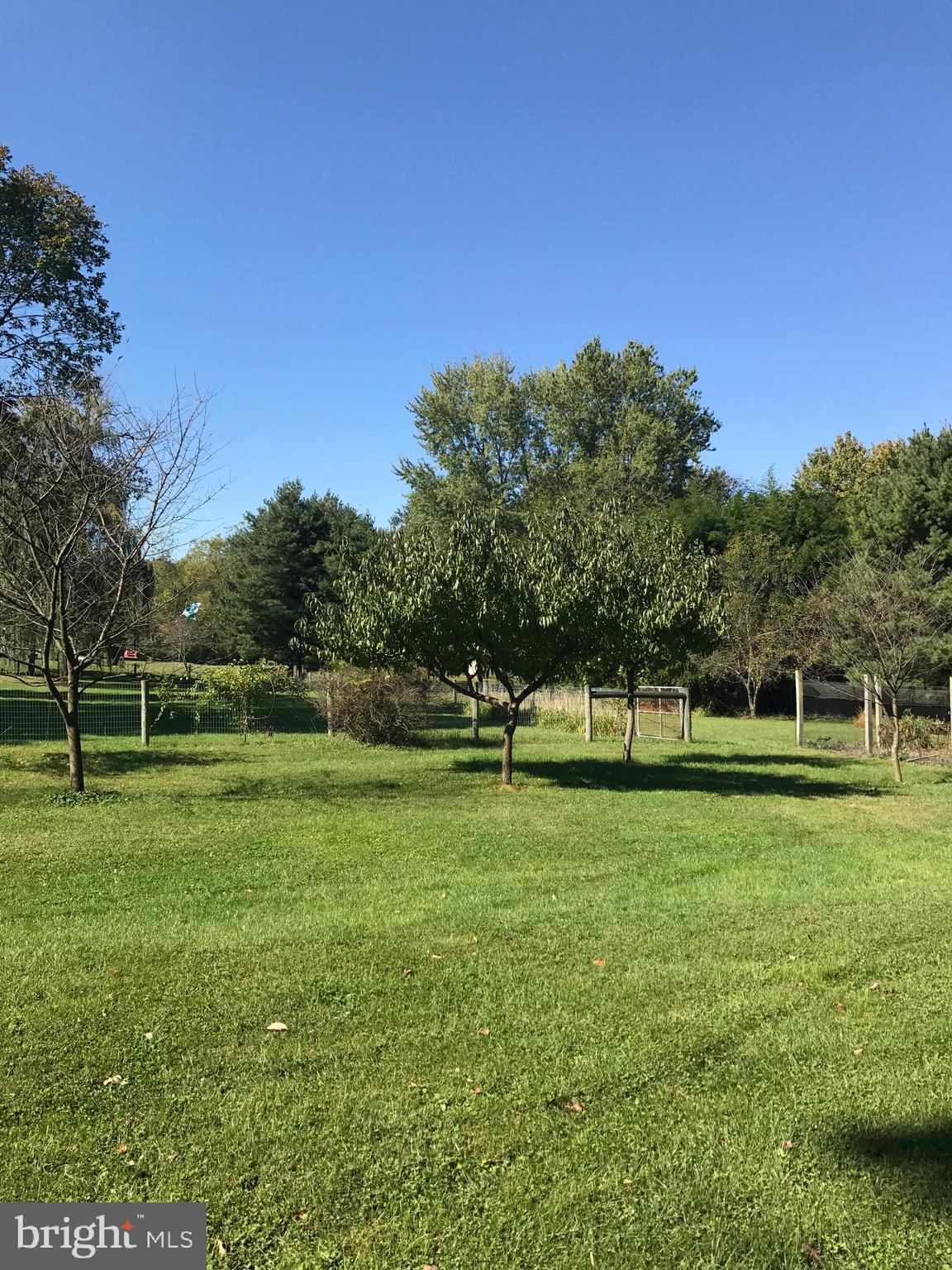 731 Vinemont Road Reinholds, PA 17569 - Photo 44 of 60 back/side yard