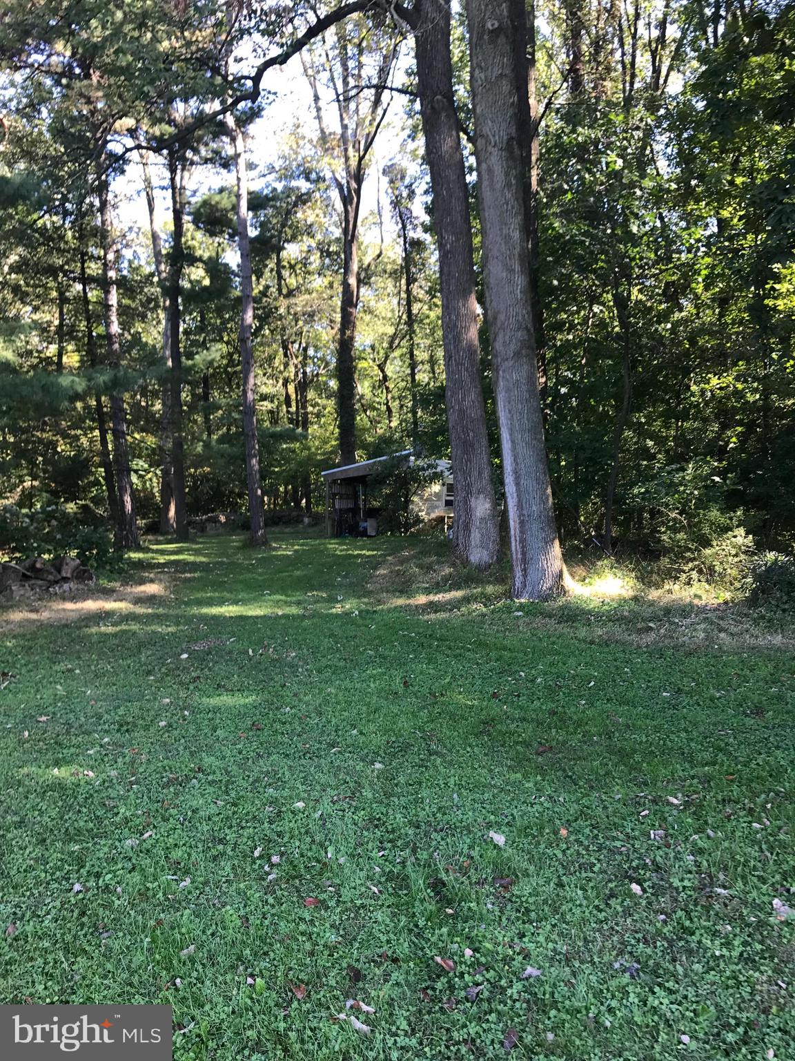 731 Vinemont Road Reinholds, PA 17569 - Photo 47 of 60 Back yard near creek