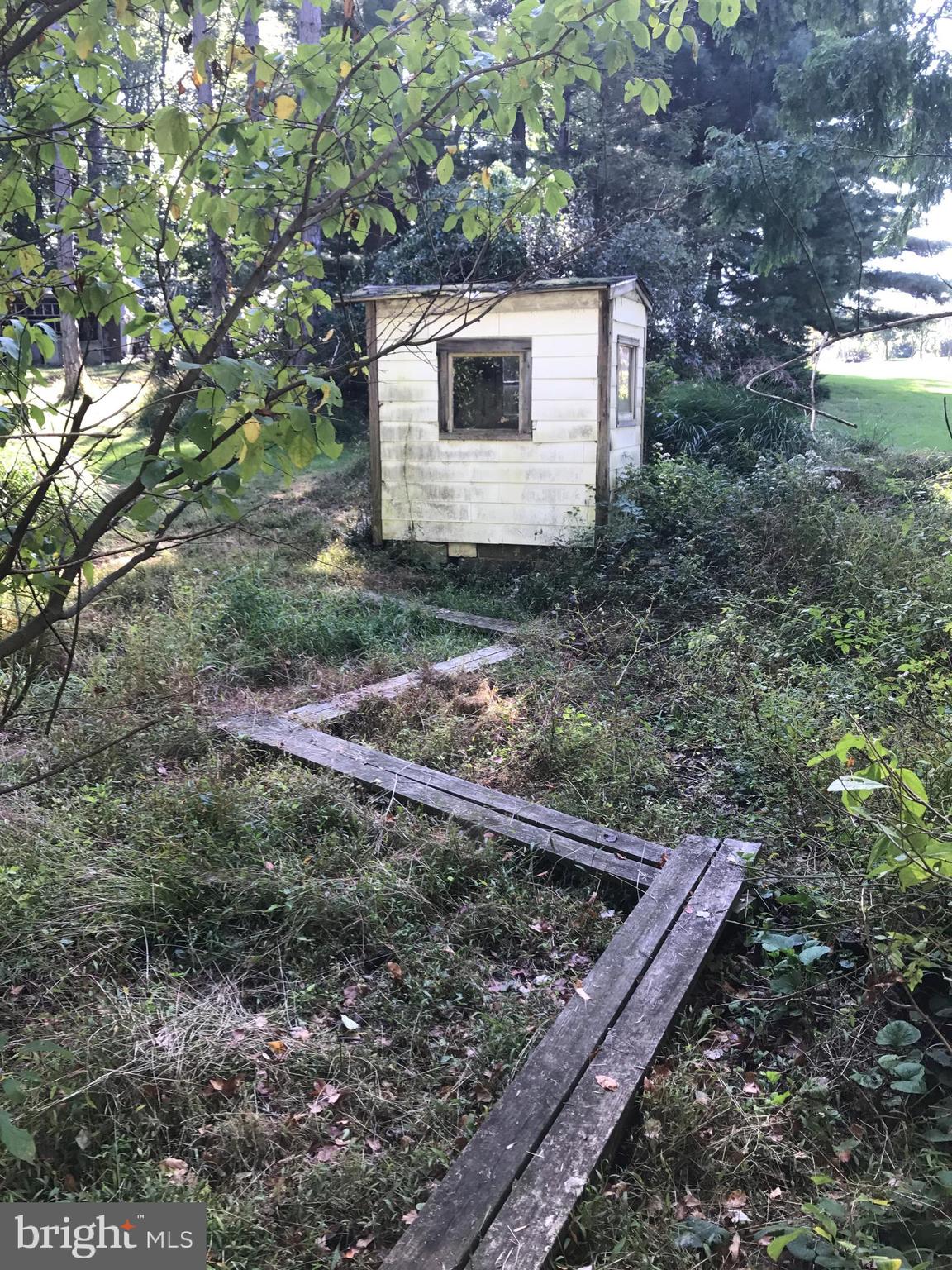 731 Vinemont Road Reinholds, PA 17569 - Photo 52 of 60 boardwalk into Utility Shed with Electric